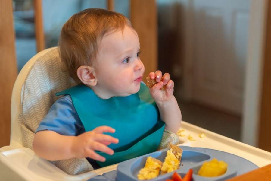 Un jeune enfant installé dans une chaise haute mange un morceau de pain pour réussir la diversification alimentaire.